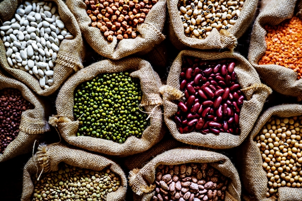 Legumes Legumes
